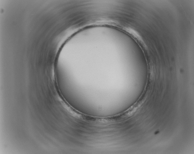 X0000071951420200607281957