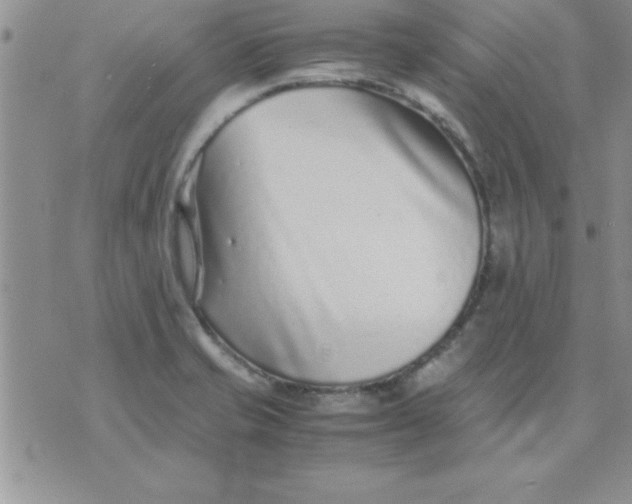 X0000071951421200607281957