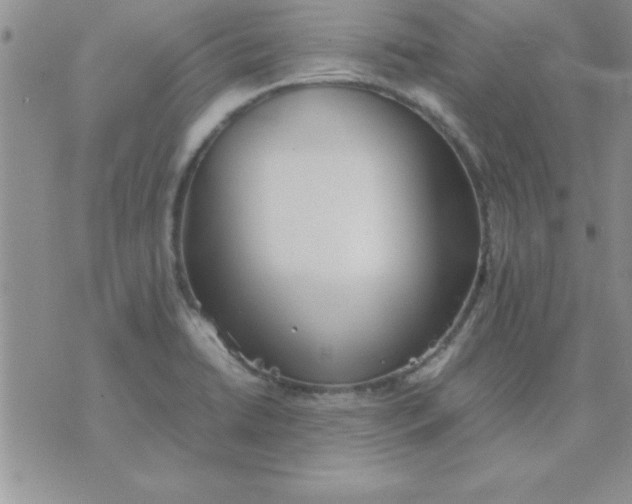 X0000071951422200607281957