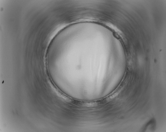 X0000071951423200607281957