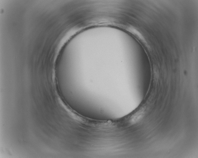 X0000071951424200607281957