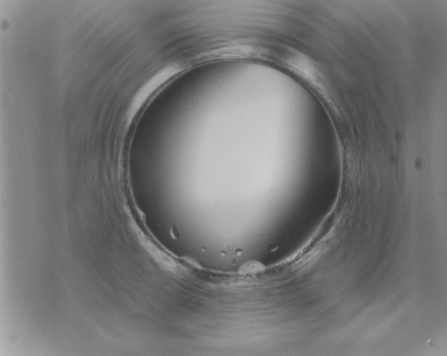 X0000071951426200607281957