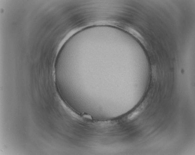 X0000071951428200607281957