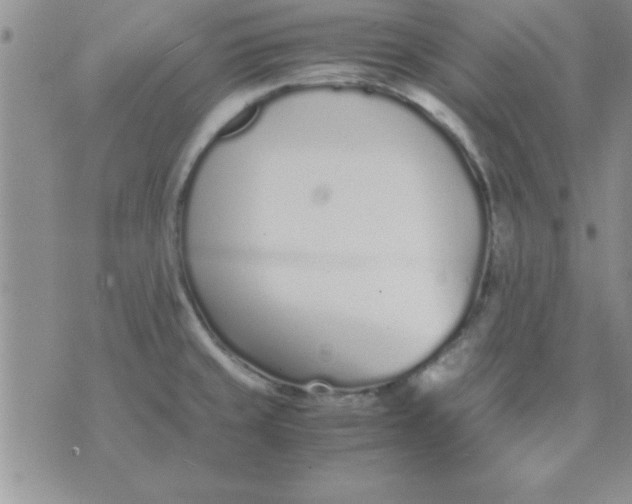 X0000071951429200607281957