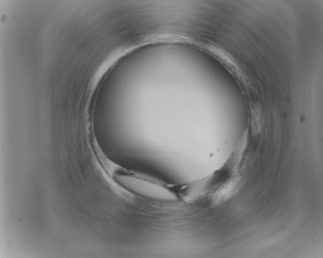 X0000071951430200607281957