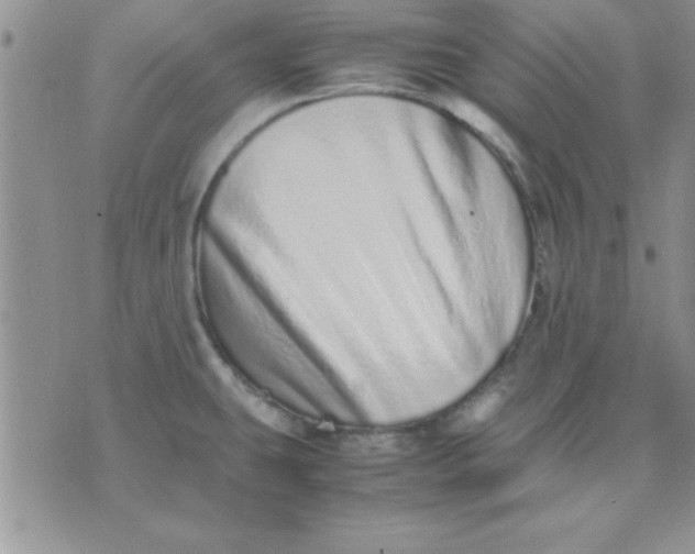 X0000071951431200607281957