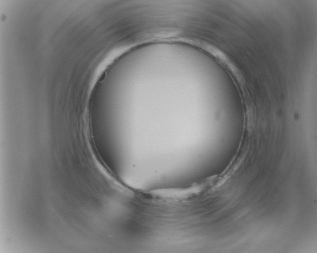 X0000071951432200607281957