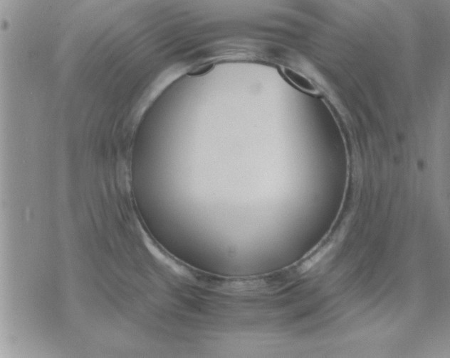 X0000071951433200607281957