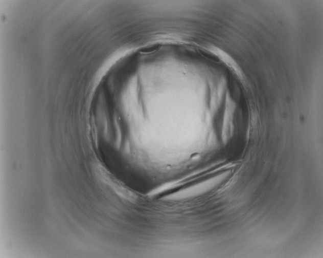 X0000071951435200607281957