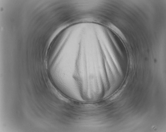 X0000071951436200607281957