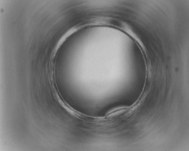 X0000071951437200607281957