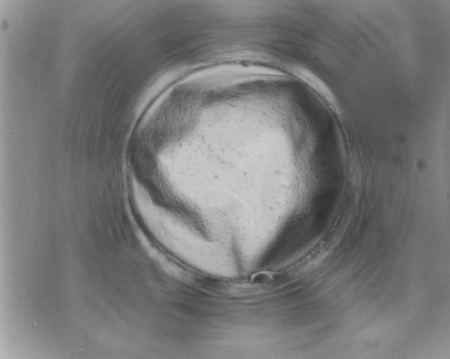 X0000071951439200607281957