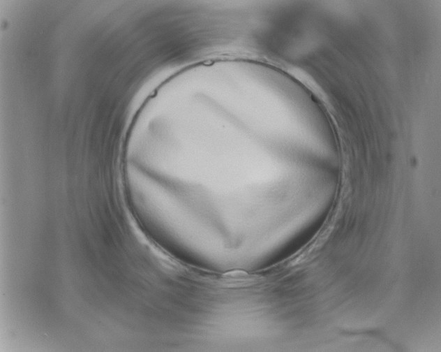 X0000071951440200607281957