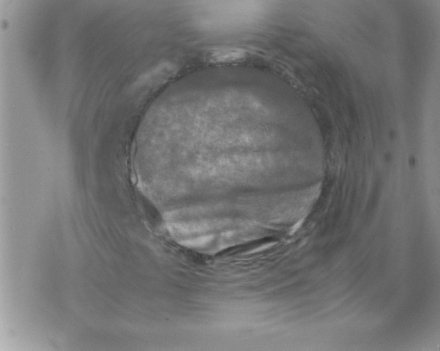 X0000071951441200607281956