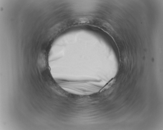 X0000071951442200607281956