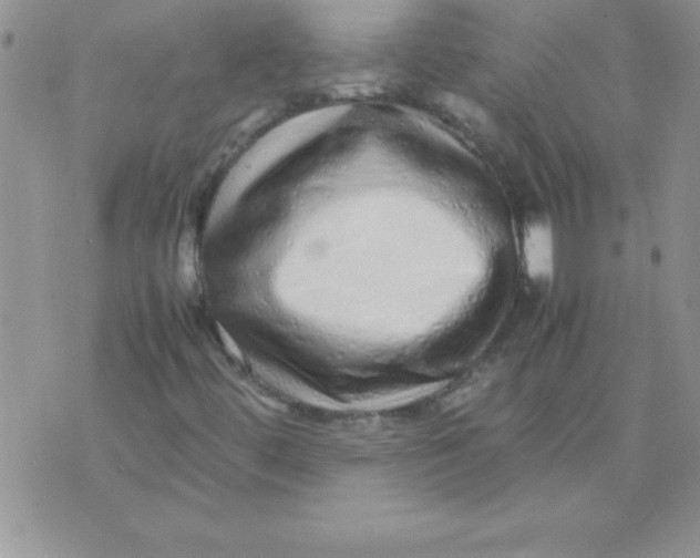 X0000071951444200607281956