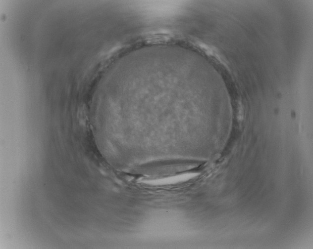 X0000071951445200607281956