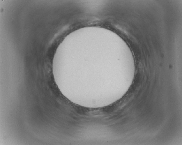 X0000071951447200607281956