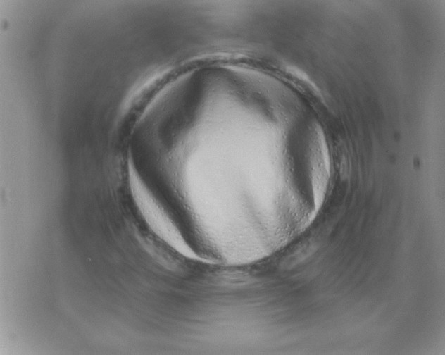 X0000071951448200607281956