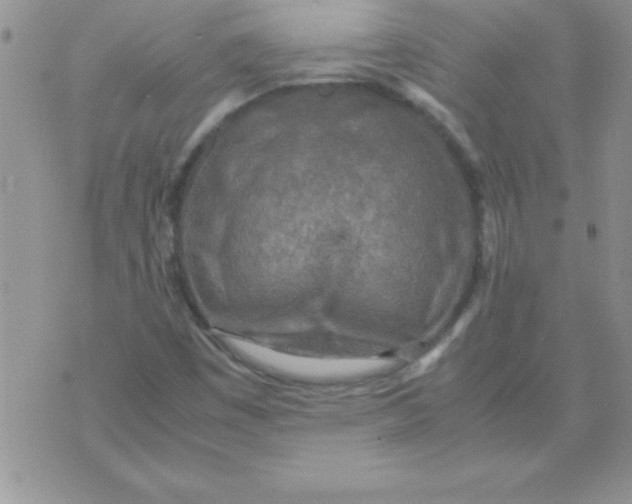 X0000071951449200607281956