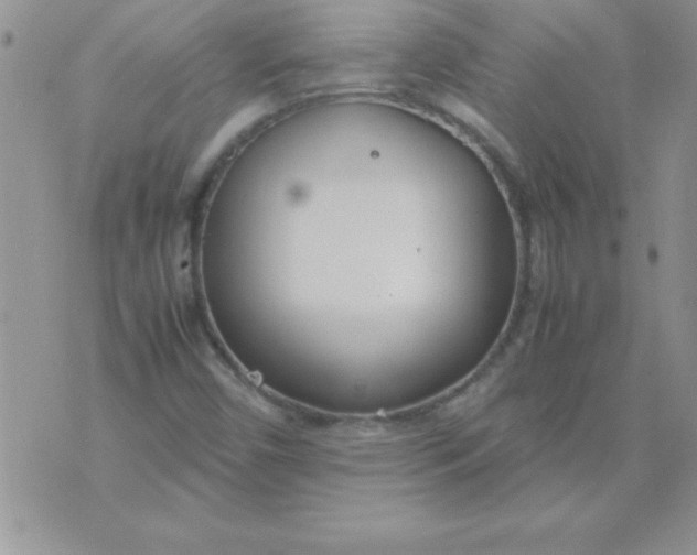 X0000071951450200607281956