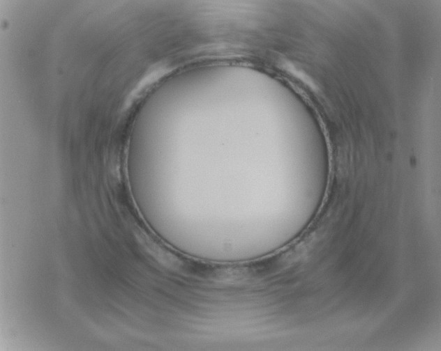 X0000071951451200607281956