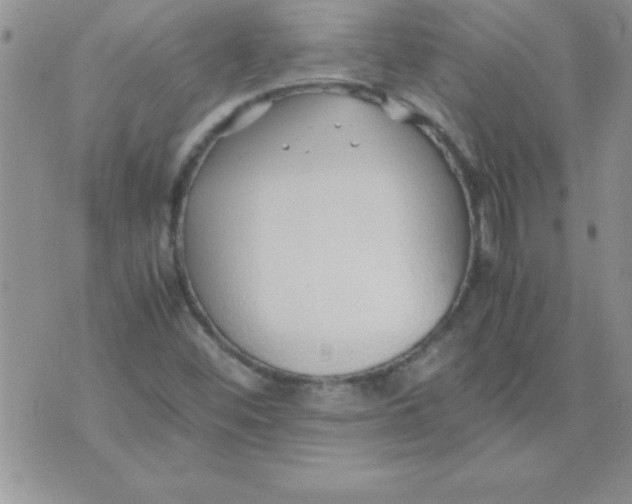 X0000071951452200607281956