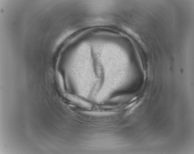 X0000071951453200607281956