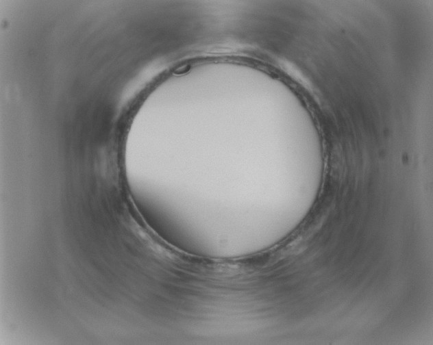 X0000071951456200607281956