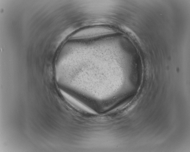 X0000071951457200607281956