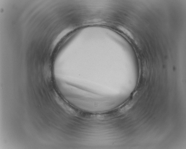 X0000071951458200607281956