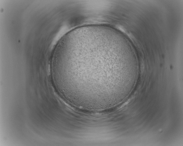 X0000071951459200607281956