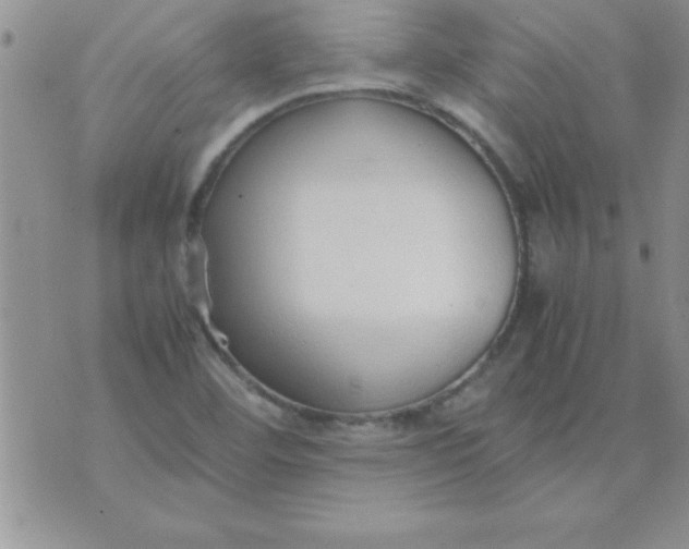 X0000071951460200607281956