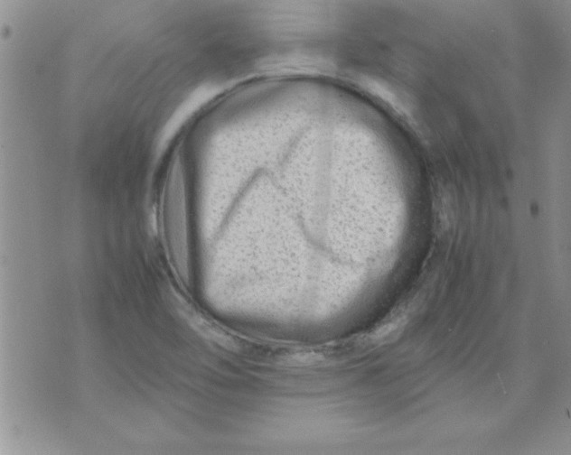 X0000071951462200607281956