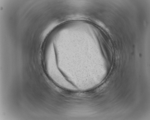 X0000071951463200607281956