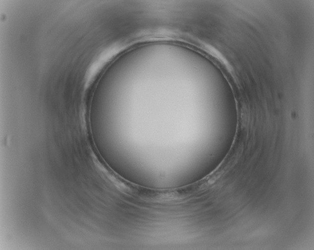 X0000071951464200607281956