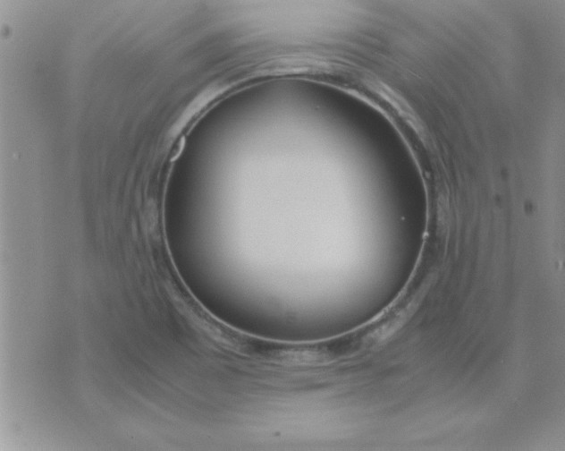 X0000071951465200607281956