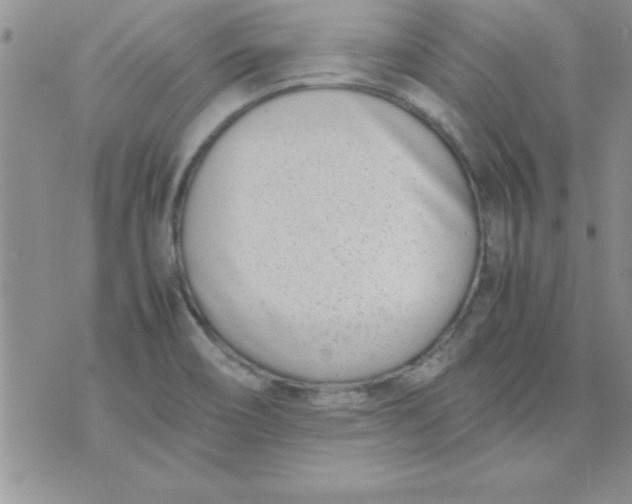 X0000071951466200607281956