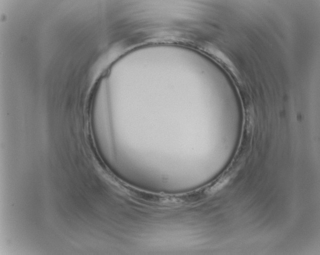 X0000071951467200607281956