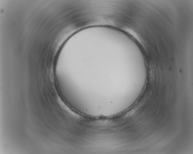 X0000071951468200607281956