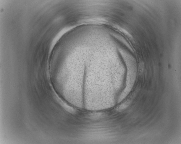 X0000071951470200607281956