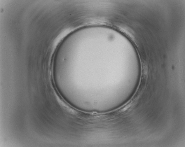 X0000071951471200607281956