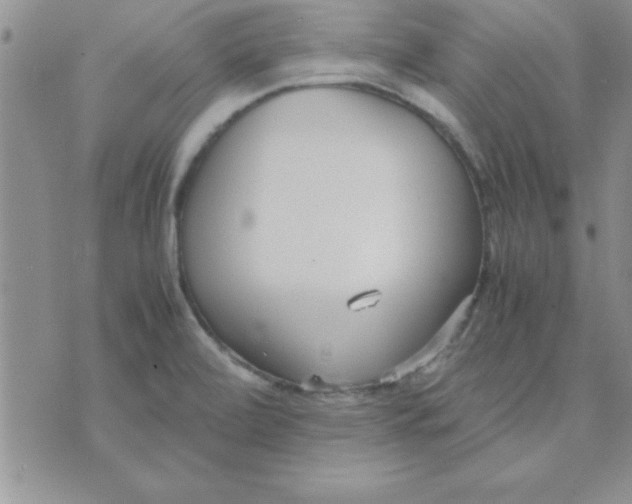 X0000071951472200607281956