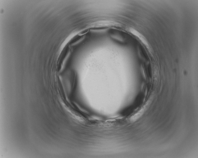 X0000071951473200607281956