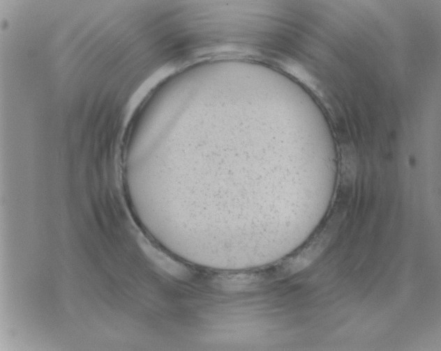 X0000071951474200607281956