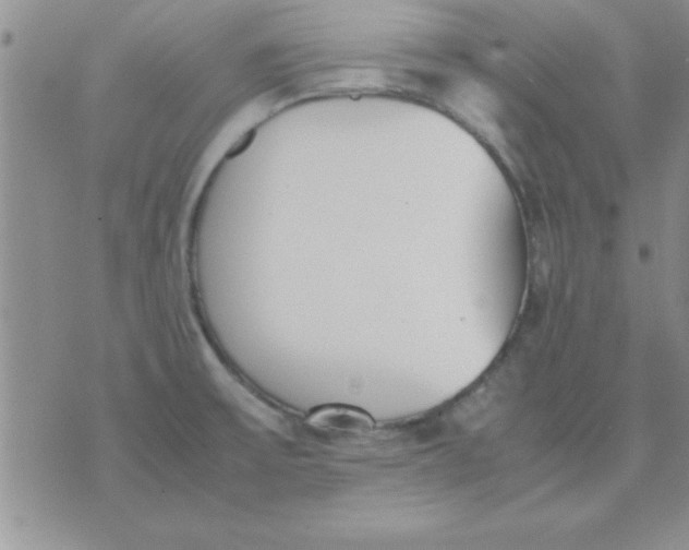 X0000071951475200607281956