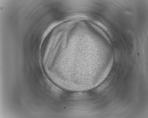 X0000071951478200607281956