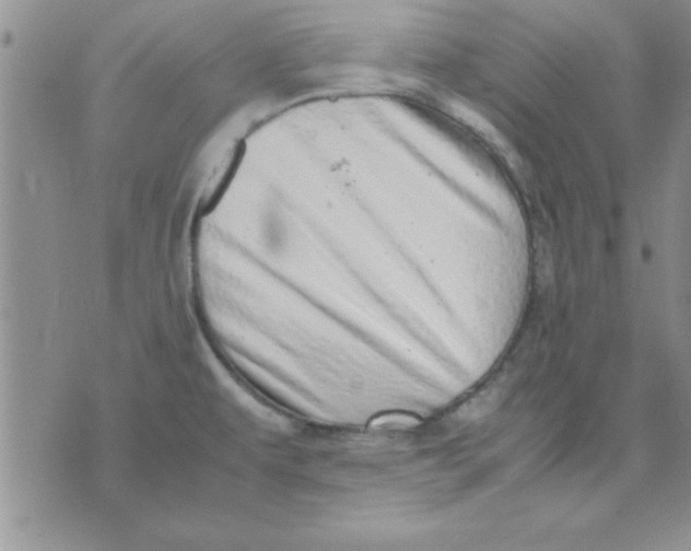 X0000071951479200607281956