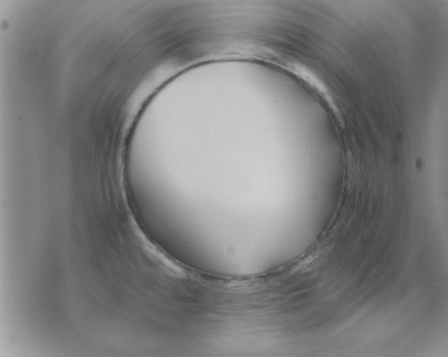 X0000071951480200607281956