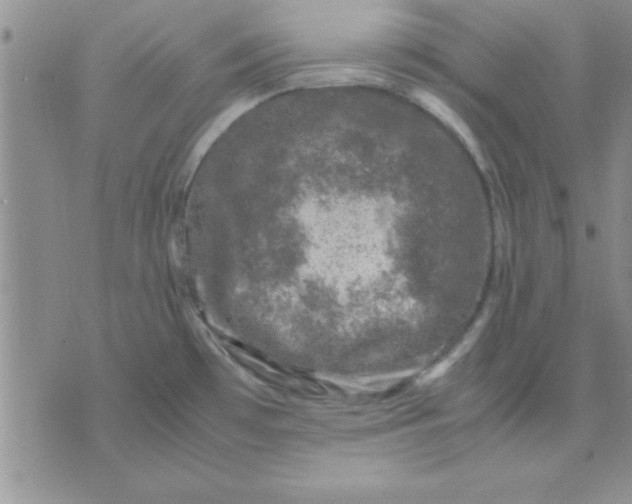 X0000071951481200607281956